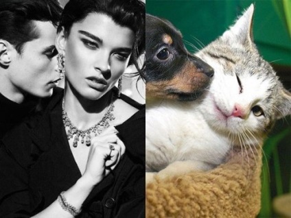 Pisici și pisici în imaginea modelelor (29 fotografii)