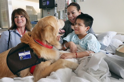 Cat și câini îi ajută pe copiii bolnavi din Portland