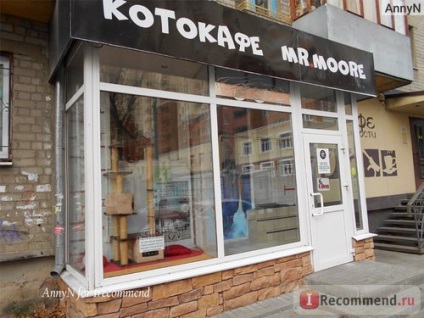 Kotokafe, Voronezh - 