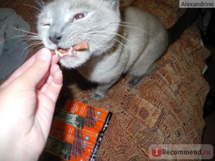 Delicacy pisica de pisica edel pentru pisici - 