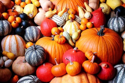 Proprietățile vindecătoare și utile ale dovleacului - atributul principal al Halloween-ului