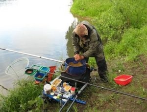 A kegyes ponty betakarítása