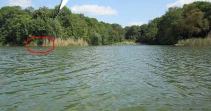 Prindeți un stiuc mare în iazul lacului trofeu la lac pe un dispozitiv de prăjit cum să prindă un stiuc mare