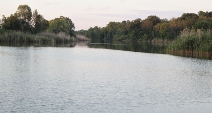 Prindeți un stiuc mare în iazul lacului trofeu la lac pe un dispozitiv de prăjit cum să prindă un stiuc mare