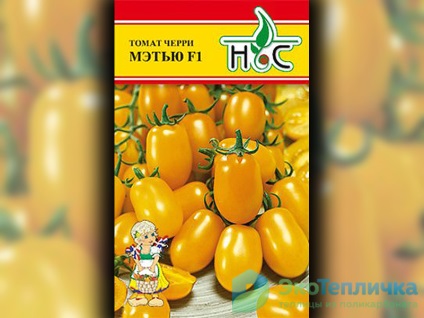 Cele mai bune soiuri noi de tomate olandeze pentru sere