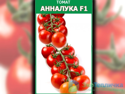 Cele mai bune soiuri noi de tomate olandeze pentru sere