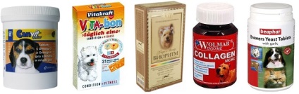 Cele mai bune vitamine pentru câinii de rase mici și mari - o prezentare generală a vitaminelor pentru câini