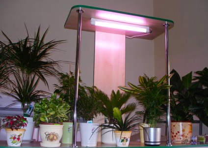Lămpi fluorescente pentru plante care să aleagă pentru iluminare