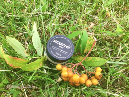 Honey Lip Scrub unitate de test luxuriantă, laboratoare de frumusețe