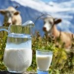 Lapte - Mituri și realitate