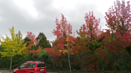 Stațiunea Montecatini 