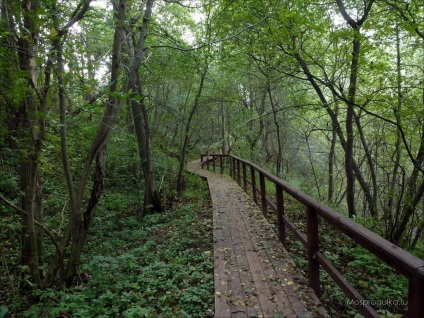 Mossprogulka valea de pasarelă în Kurkino