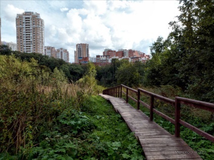 Mossprogulka valea de pasarelă în Kurkino