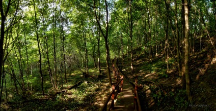 Mossprogulka valea de pasarelă în Kurkino