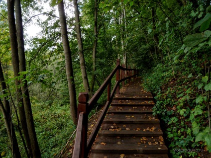 Mossprogulka valea de pasarelă în Kurkino