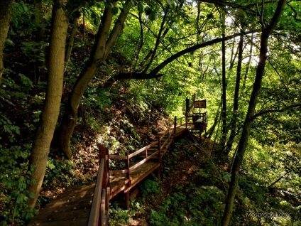 Mossprogulka valea de pasarelă în Kurkino