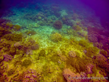 Mototravel a Bohol szigetén a Fülöp-szigeteken