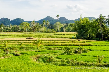 Mototravel a Bohol szigetén a Fülöp-szigeteken