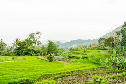 Mototravel pe insula Bohol pe Filipine