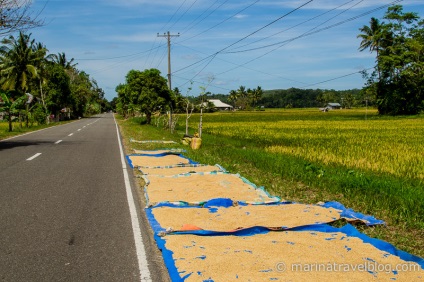 Mototravel a Bohol szigetén a Fülöp-szigeteken