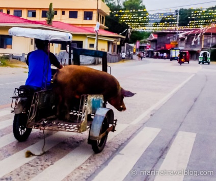 Mototravel a Bohol szigetén a Fülöp-szigeteken