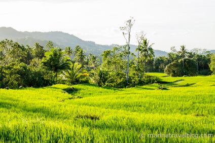 Mototravel a Bohol szigetén a Fülöp-szigeteken