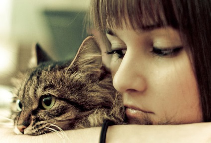 Egy magányos lány kaphat macskát, miért?