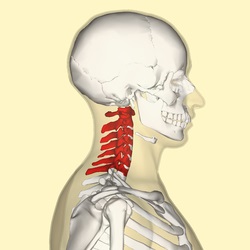 Murtul coloanei vertebrale cervicale - informații despre procedura de diagnosticare