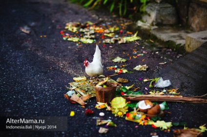 Niepi pe bali sau napi este o zi de tăcere și o paradă de monștri