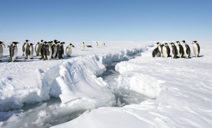 Fapte incredibile despre Antarctica misterioasă și severă