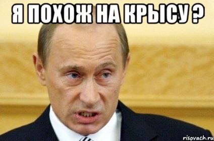 Nu conduceți un șobolan într-un colț sau de ce Putin este acum cel mai periculos portal • Anticorcore