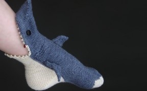Șosetele din gura rechinului i-au împins picioarele de la lisa grossman (Lisa Grossman)