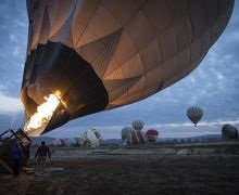 Unul din lume decât călătoria cu un câine diferă de o vacanță cu un copil