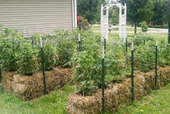 Grădină de legume pe blocuri de paie