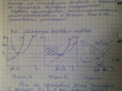 Semne oligopol, caracteristici