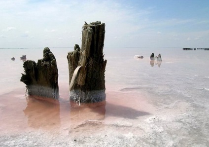 Lacul Elton - - aur - un lac din regiunea Volgograd