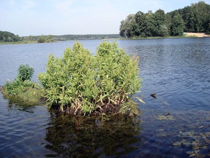 Lacul Yalchik, un site dedicat turismului și călătoriilor