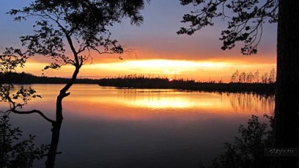 Excursie pelerinaj la Tikhvin, veche Ladoga