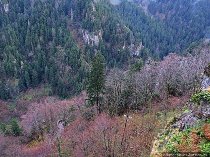 Panagia a reușit