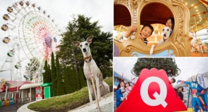 Parcul de distracții fuji-q highland deschide porțile pentru proprietarii câinilor