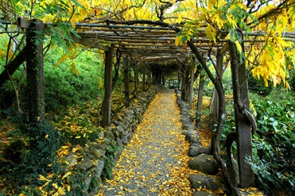 Pergola în grădină