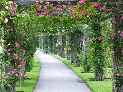 Pergola în grădină