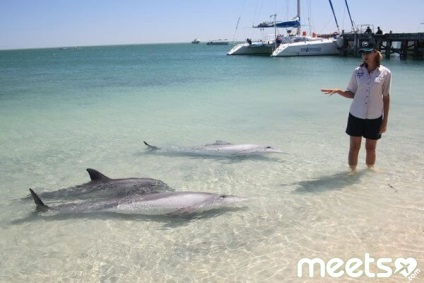 Beach majom mia - találkozóhely a delfinekkel