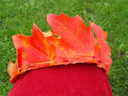 Crama de frunze de toamna