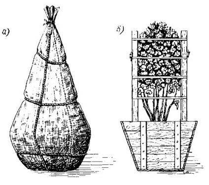 Felkészülés fák és cserjék ültetésére - stadopedia