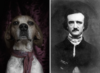 Poétikus kutyák hasonlóan hasonlítanak a mongrels portrék és a híres írók