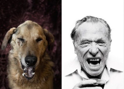 Poetic Dogs simbolizează similitudinea portretelor de mongrels și scriitori celebri