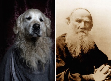 Poétikus kutyák hasonlóan hasonlítanak a mongrels portrék és a híres írók