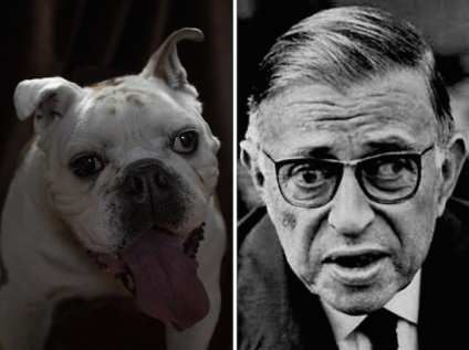 Poetic Dogs simbolizează similitudinea portretelor de mongrels și scriitori celebri