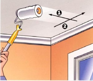 Pictura tavanului - un mod rapid și eficient de finisare